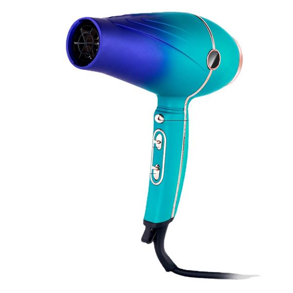 High Power Ionic Hair Dryer To Smooth Frizzy Hair BPHR002